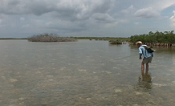 fly fishing South Florida